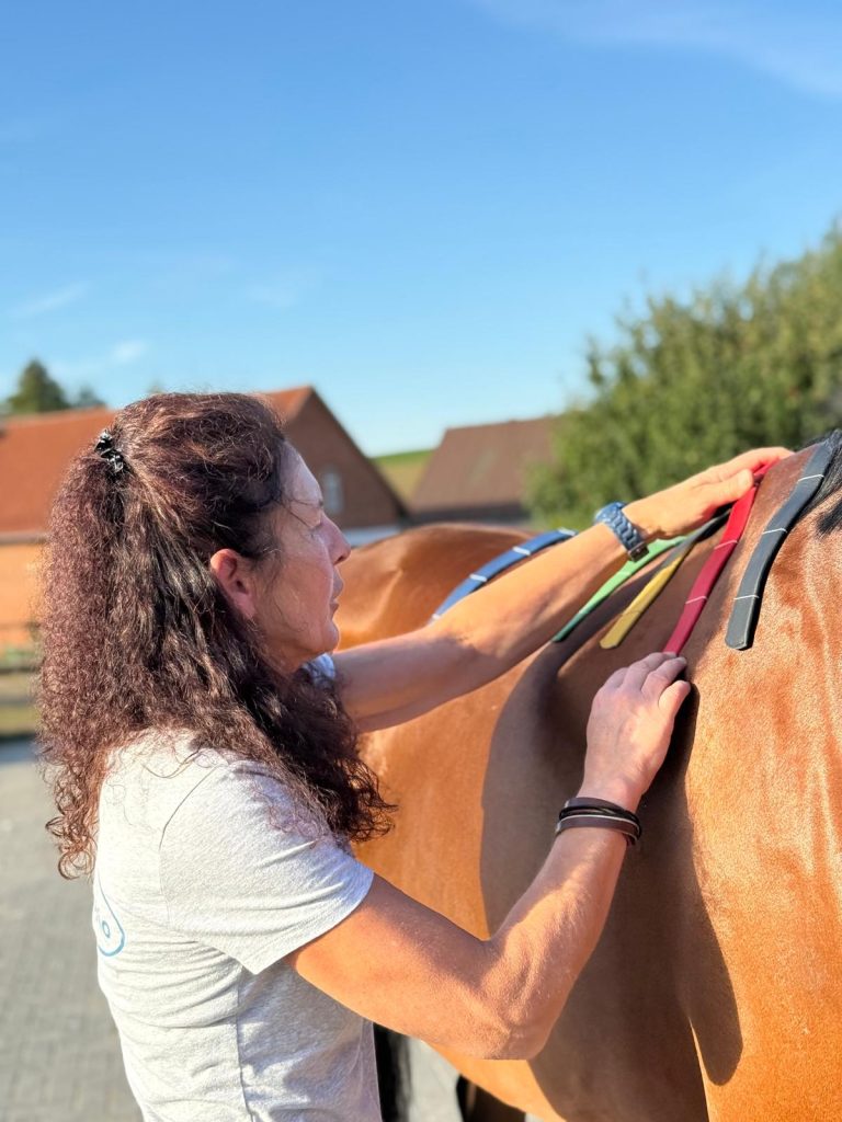 Frau fasst ein Pferd an